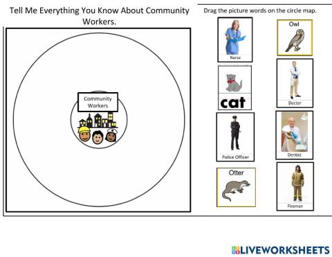 Tell Me Everything You Know About Community Workers