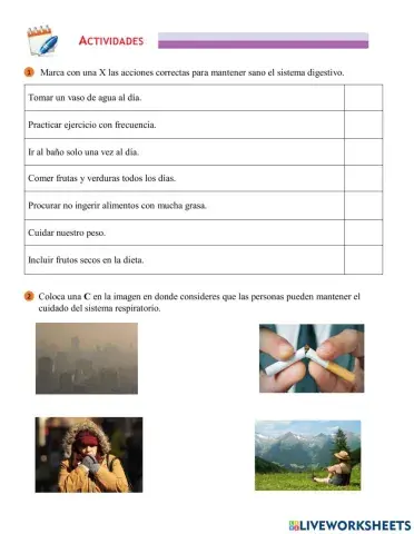 Cuidados de los sistemas