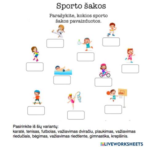 Sporto šakos