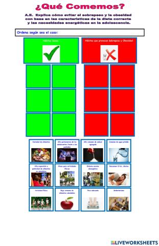 ¿Por qué hay Sobrepeso y Obesidad entre los Adolescentes?