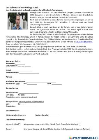 Lebenslauf verstehen