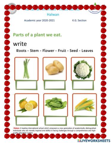 Parts of plants we eat