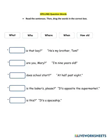 Elementary 2 Wh Words