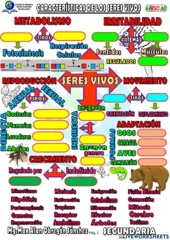 Spb-SERES VIVOS - CARACTERÍSTICAS