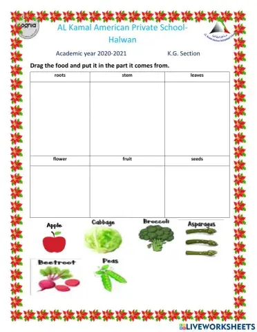 Parts of plants we eat