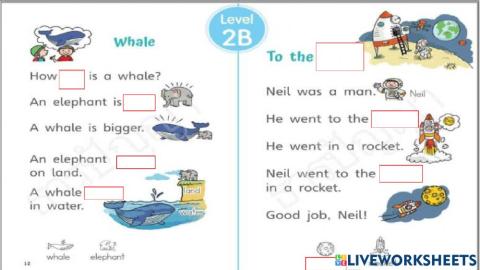 2 B Whale