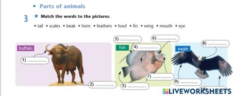 The parts of body. Animals