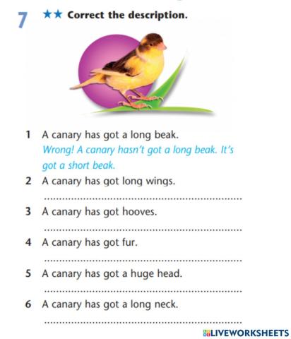 The parts of body. Animals