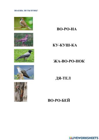 Начальная школа