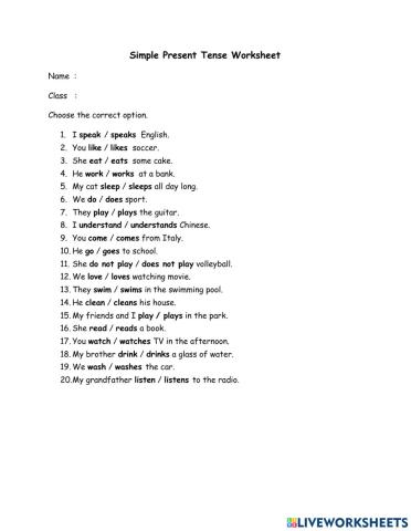 Simple Present Tense Worksheet
