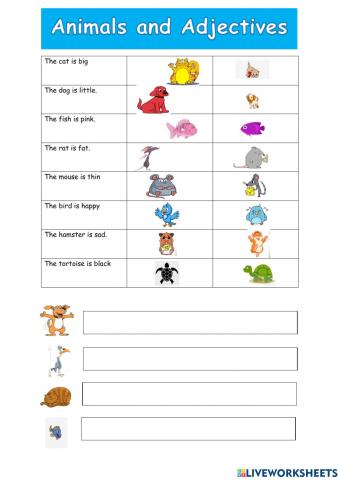 Animals and adjectives