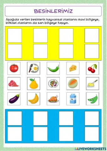 Hayat bilgisi-Sağlıklı besinler