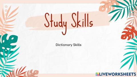 Dictionary Skills Activity