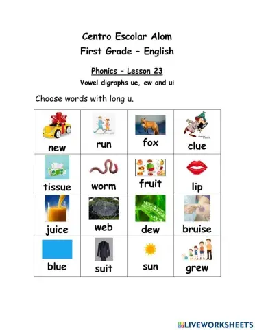 Vowel digraphs ue, ew and ui
