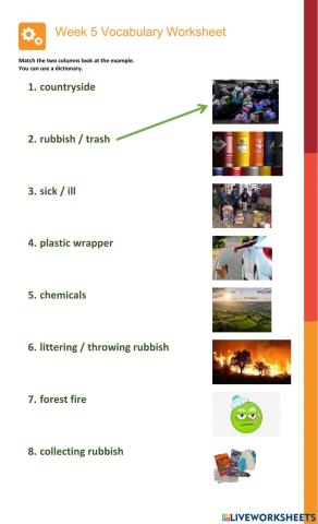 Environmental issues vocabulary