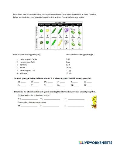 Genetics vocabulary practice