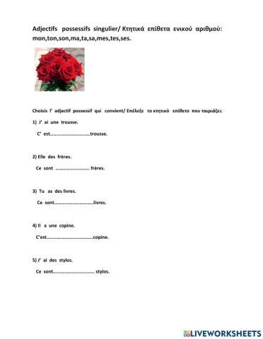 Adjectifs  possessifs  singulier