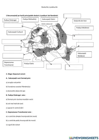 Dealurile si podișurile