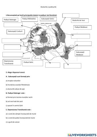 Dealurile si podișurile