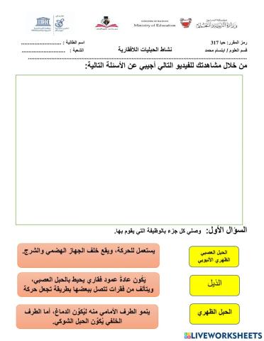 الحبليات اللافقارية