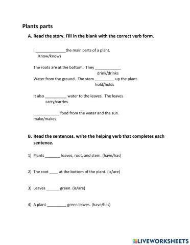 Subject verb agreement