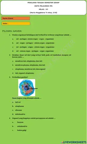 Penilaian tengah semester genap
