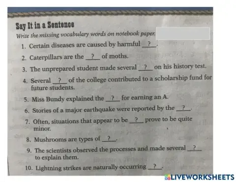 Say it in a Sentence List 5- MORE PLURALS