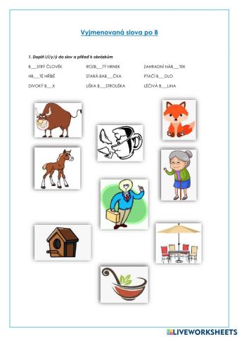 Český jazyk - vyjmenovaná slova po B