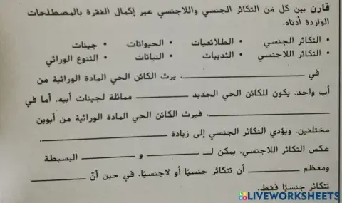 الانقسام المنصف2