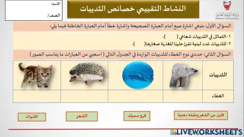 نشاط تقييمي على خصائص الثدييات