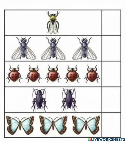 Cate elemente are fiecare multime?