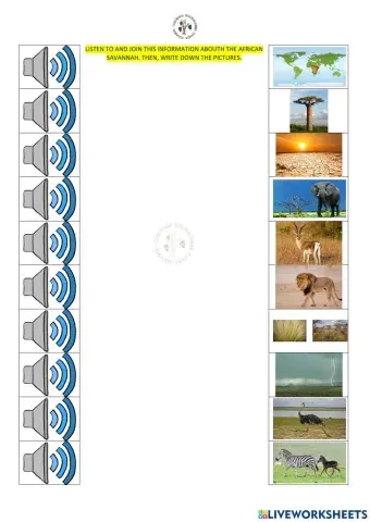 456 listening about african savannah