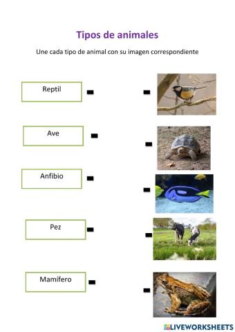 Tipos de animales