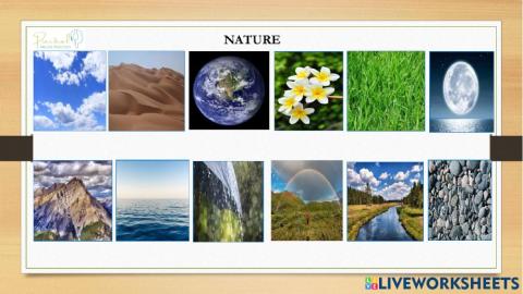 Vocabulary test - nature - part 1