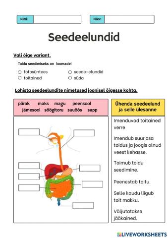 Seedeelundid