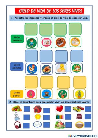 Ciclo vital de los seres vivos