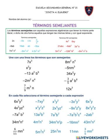 Términos semejantes