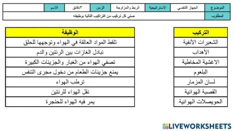 ورقة عمل الجهاز التنفسي ووظائف اجزائهه