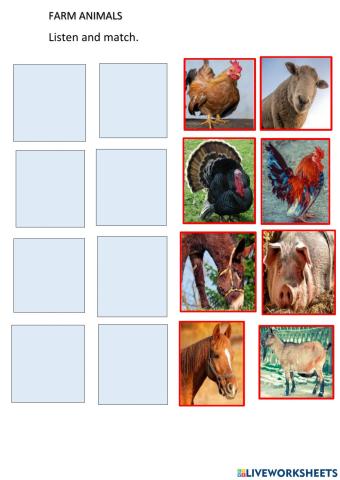 Farm animals