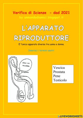 Verifica riproduzione umana