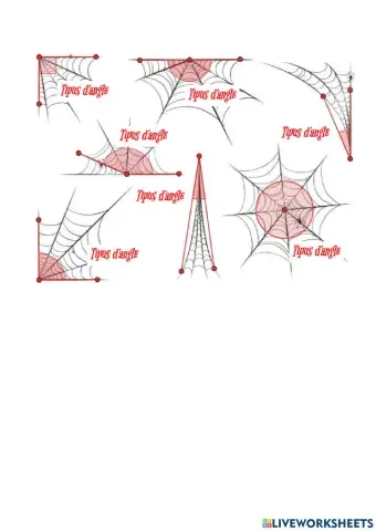 Angles i teranyines Harry Potter