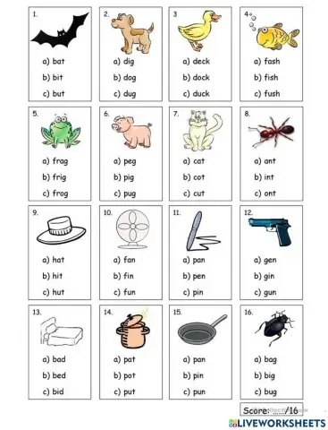 Short vowels
