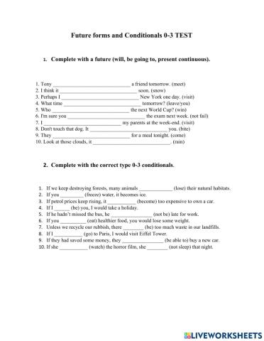 Future forms and Conditionals 0-3 TEST - 8 grade