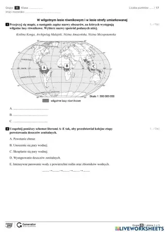 W wilgotnym lesie równikowym i w lesie strefy umiarkowanej