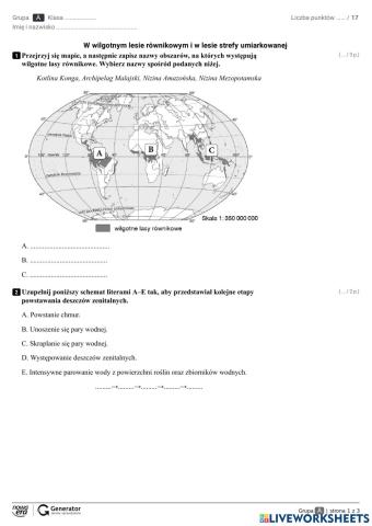 W wilgotnym lesie równikowym i w lesie strefy umiarkowanej
