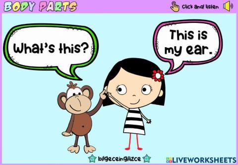 Body parts