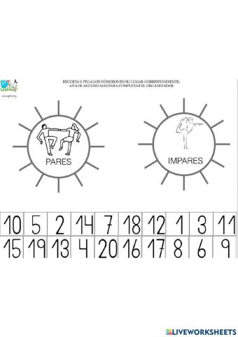 Números pares e impares