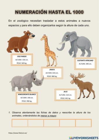 Numeración hasta el 1000