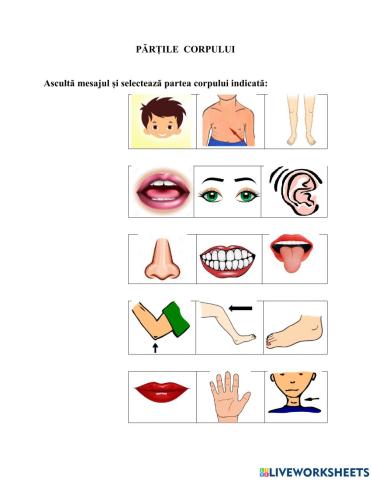 Evaluare părților corpului