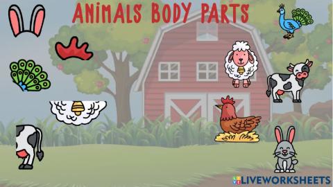 Animals body parts